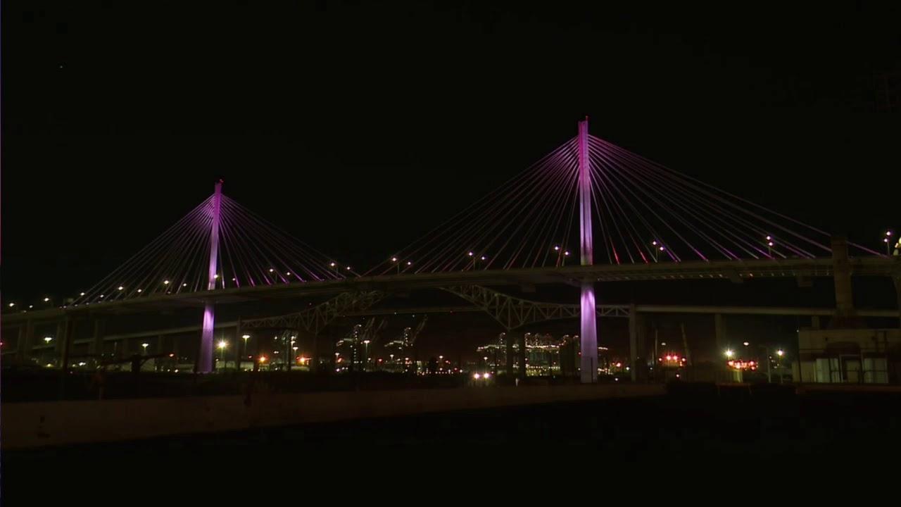 Gerald Desmond Bridge