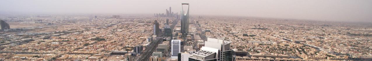 SALINI SAUDI ARABIA visual data 6